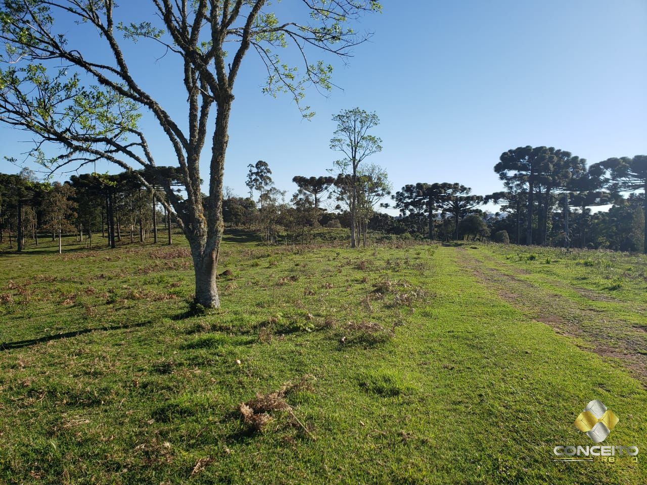 Loteamento e Condomínio à venda, 20000m² - Foto 9