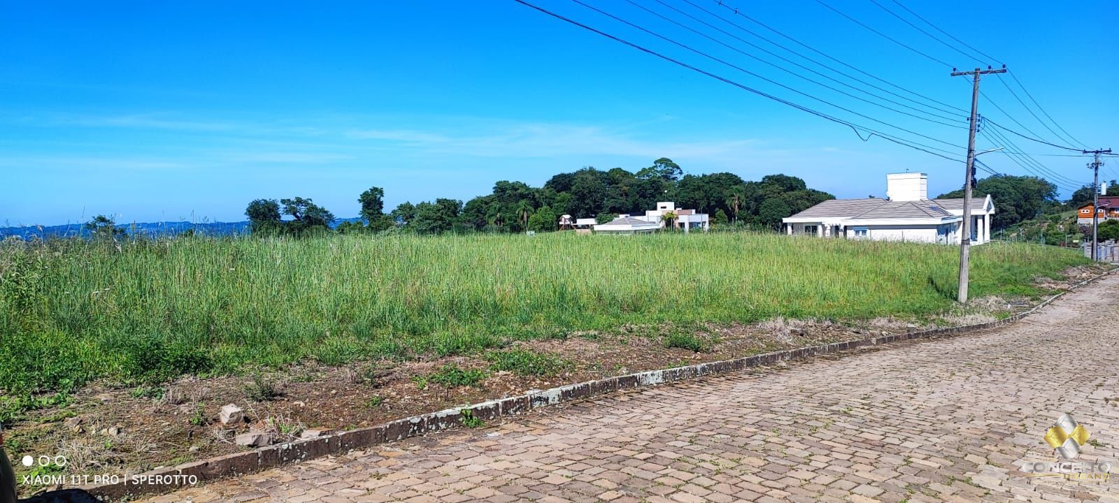 Terreno à venda, 10000m² - Foto 2