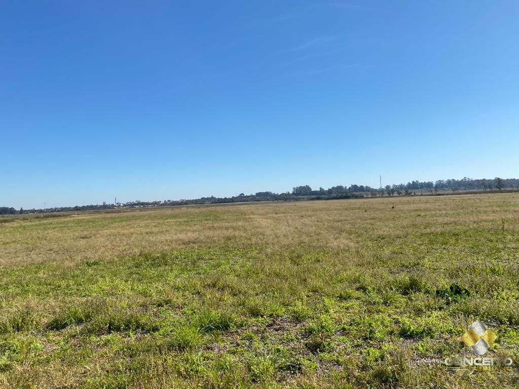 Terreno à venda, 6300000m² - Foto 26