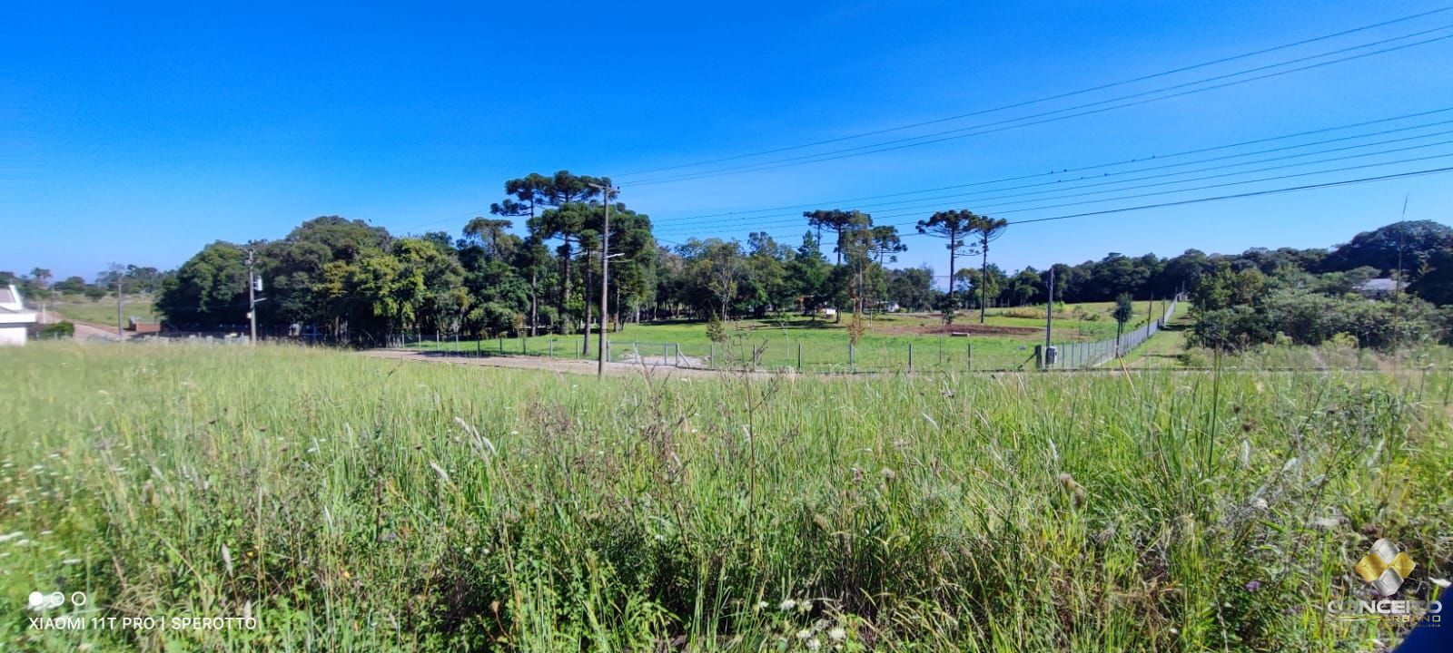 Terreno à venda, 10000m² - Foto 10