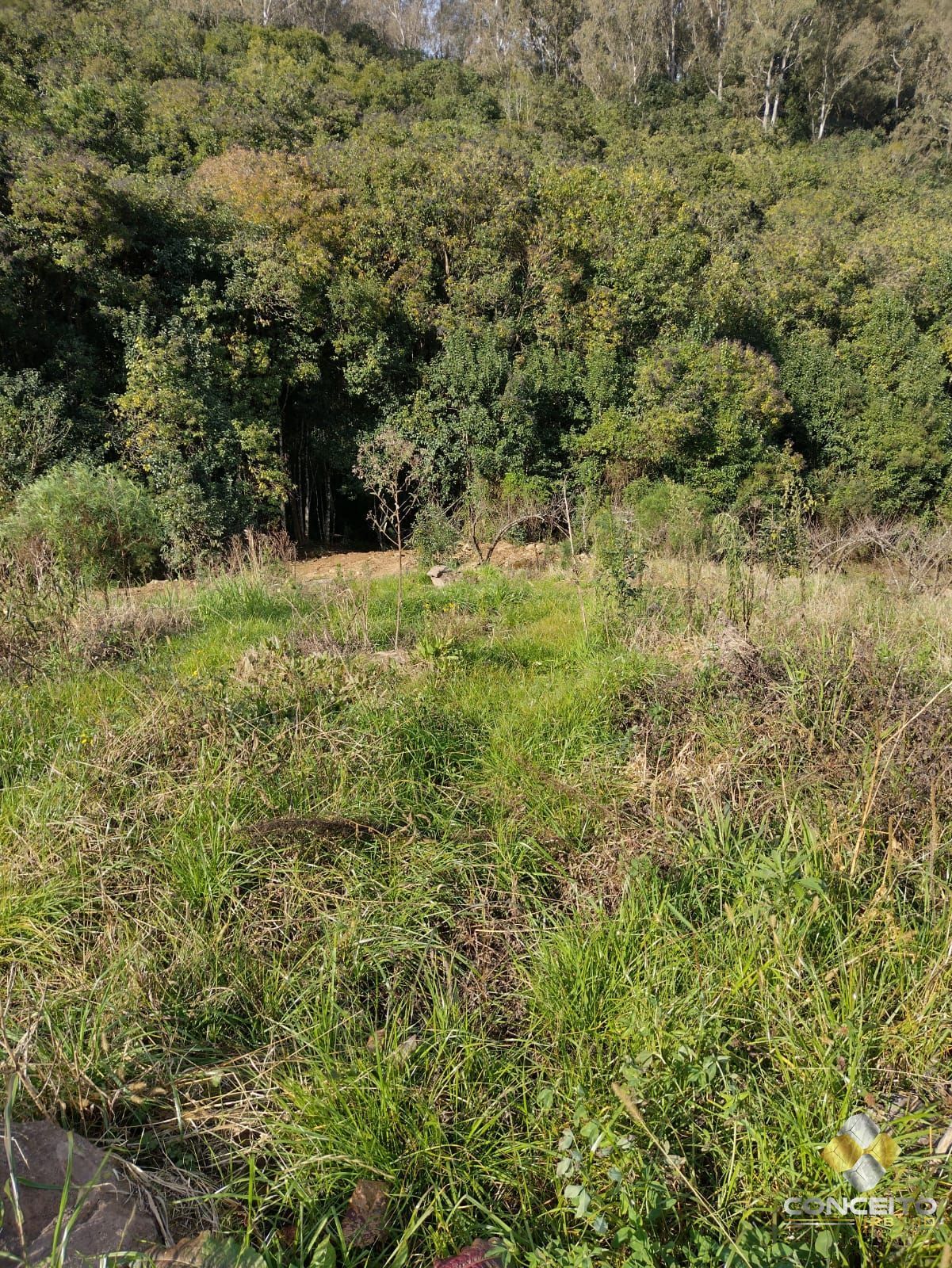img16899418
