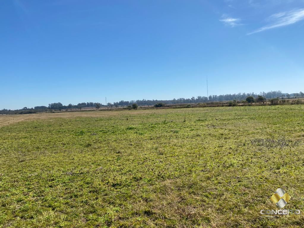 Terreno à venda, 6300000m² - Foto 5