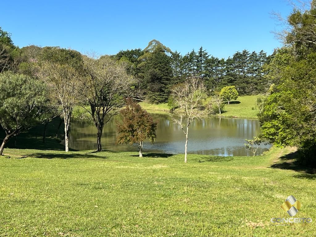 Fazenda à venda com 1 quarto, 100m² - Foto 42