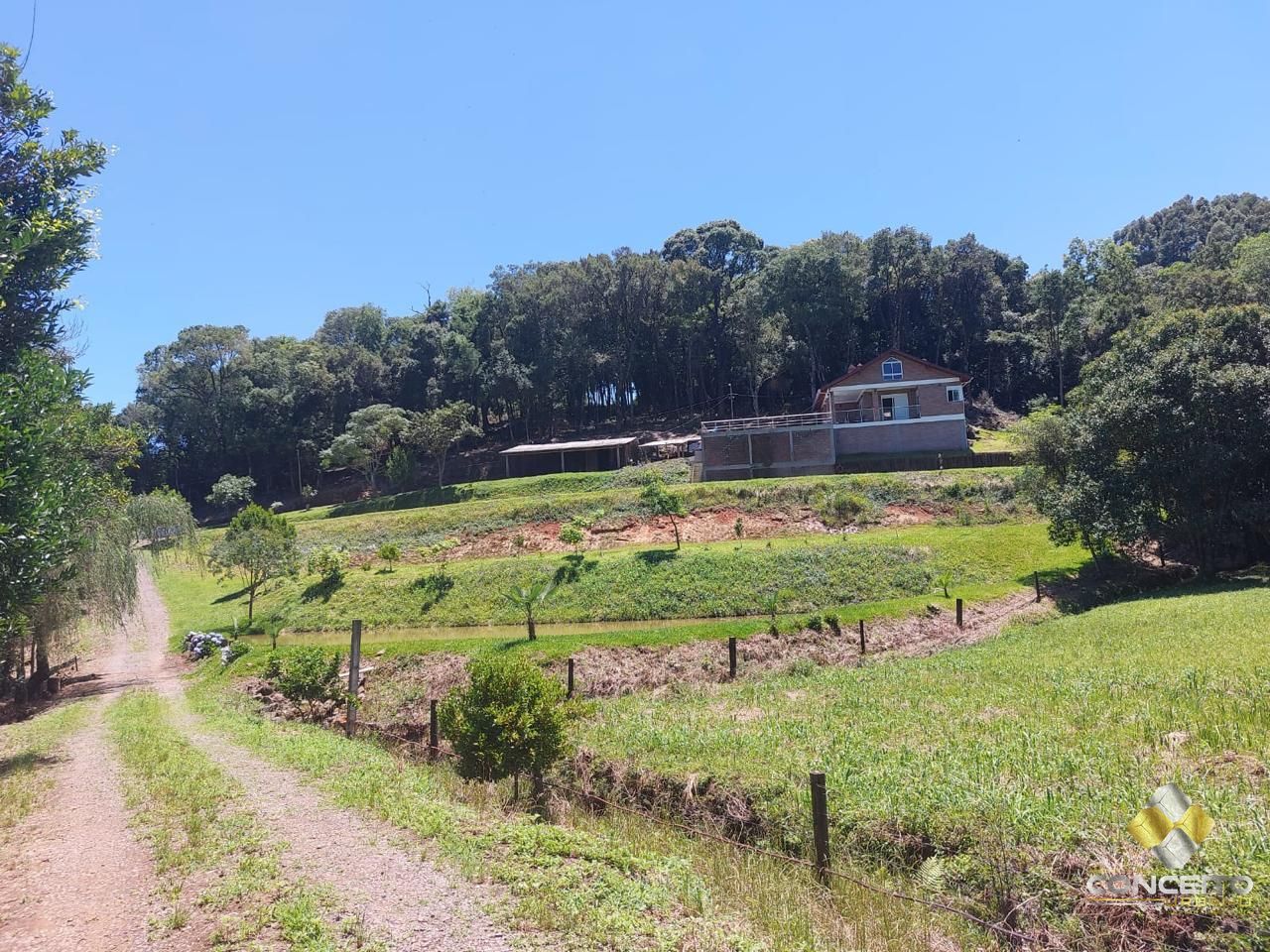 img74089642