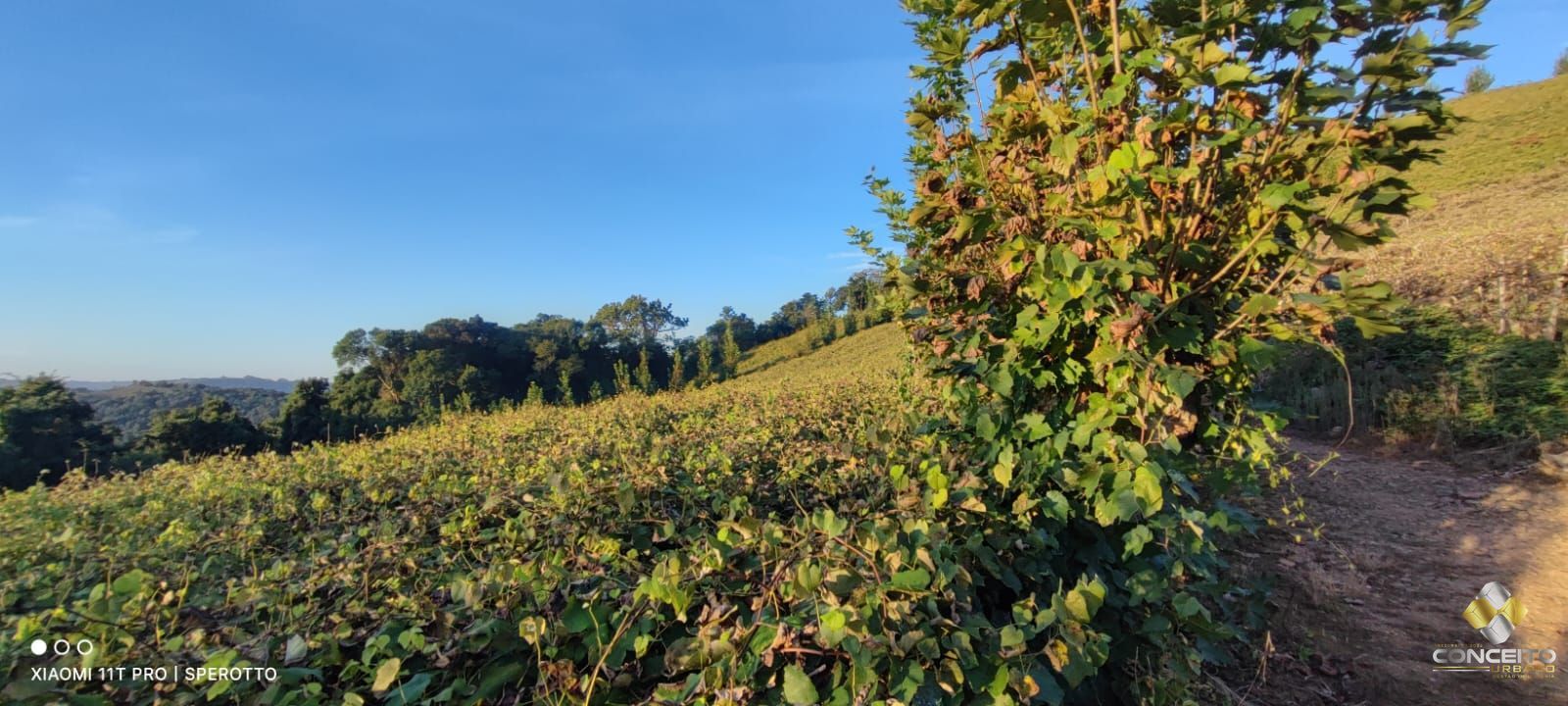Loteamento e Condomínio à venda, 60000m² - Foto 16
