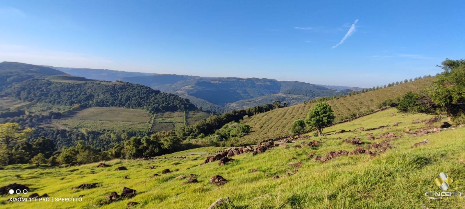 Terreno à venda, 20000m² - Foto 38