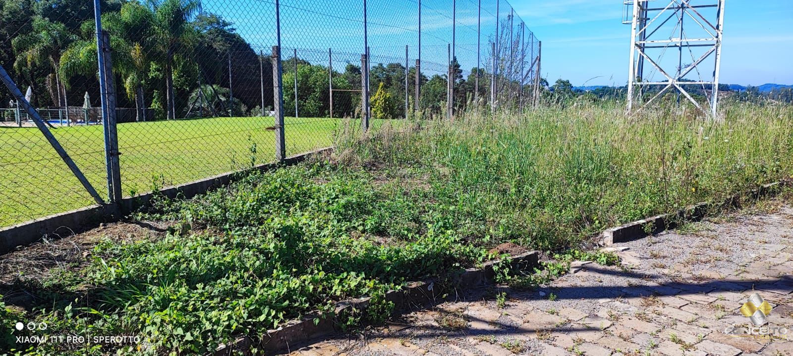 Terreno à venda, 10000m² - Foto 3