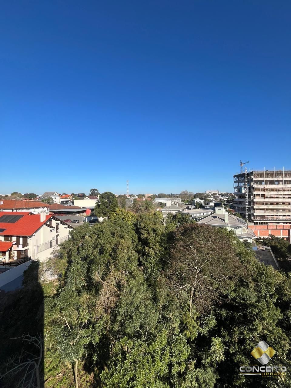 img63960160