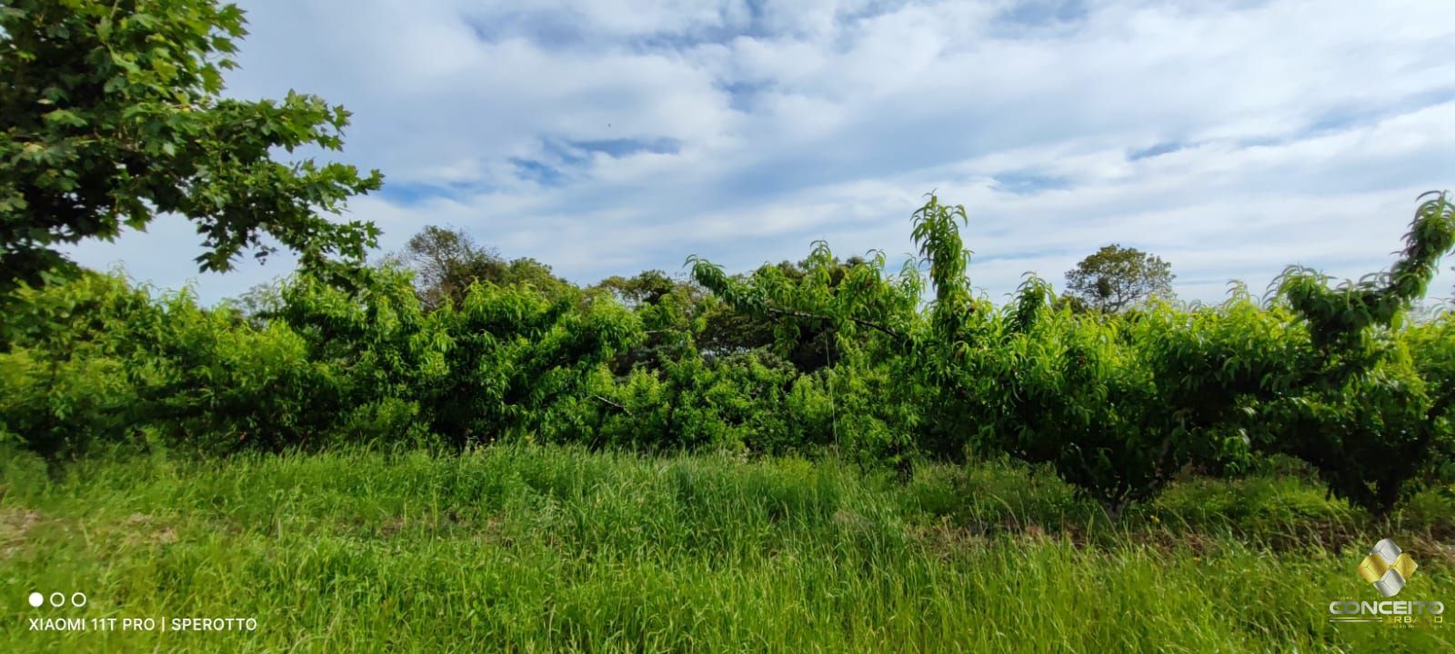 Terreno à venda, 107000m² - Foto 8