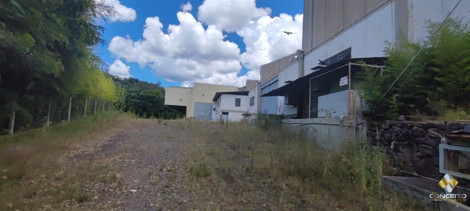 img72488026