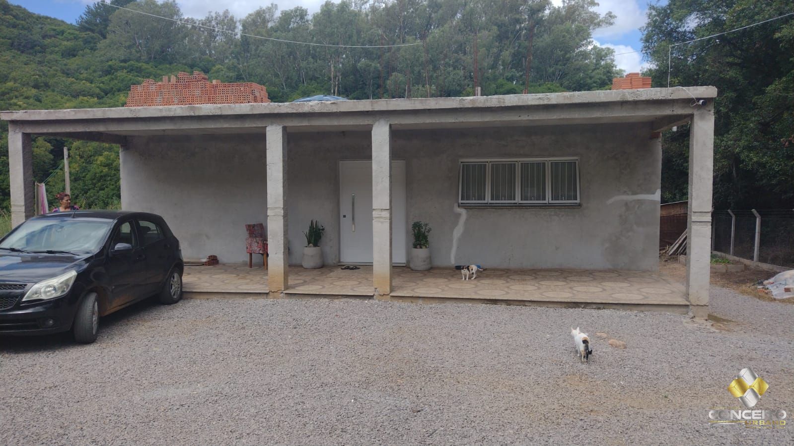 img16958492