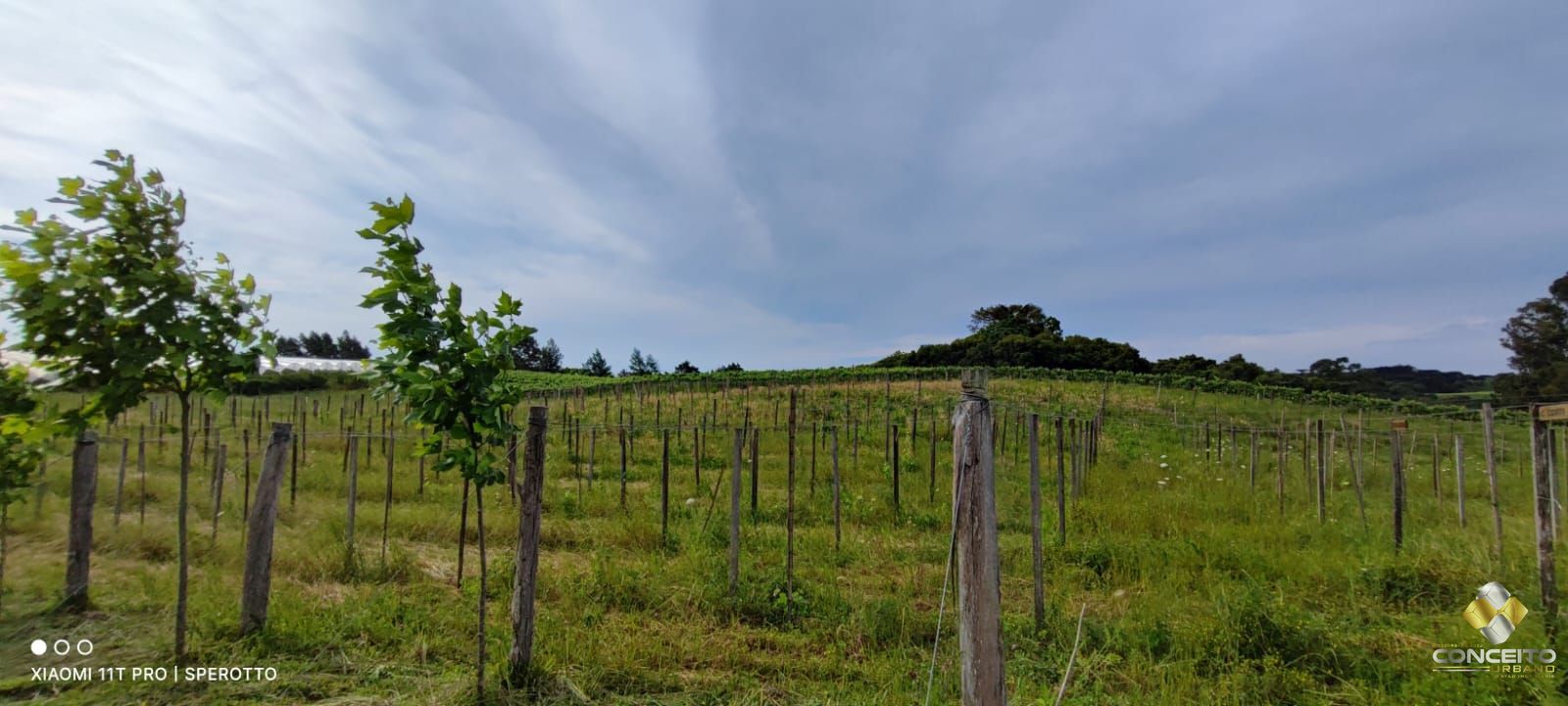 Terreno à venda, 107000m² - Foto 13