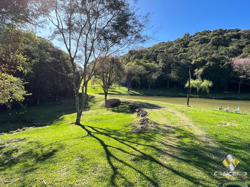 Fazenda à venda com 1 quarto, 100m² - Foto 44