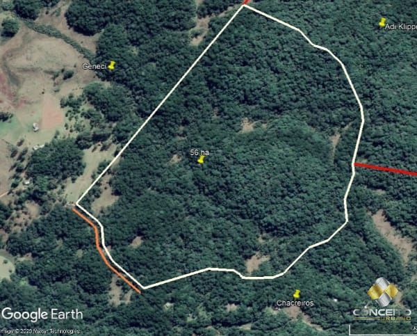 Terreno à venda com 1 quarto, 560000m² - Foto 15