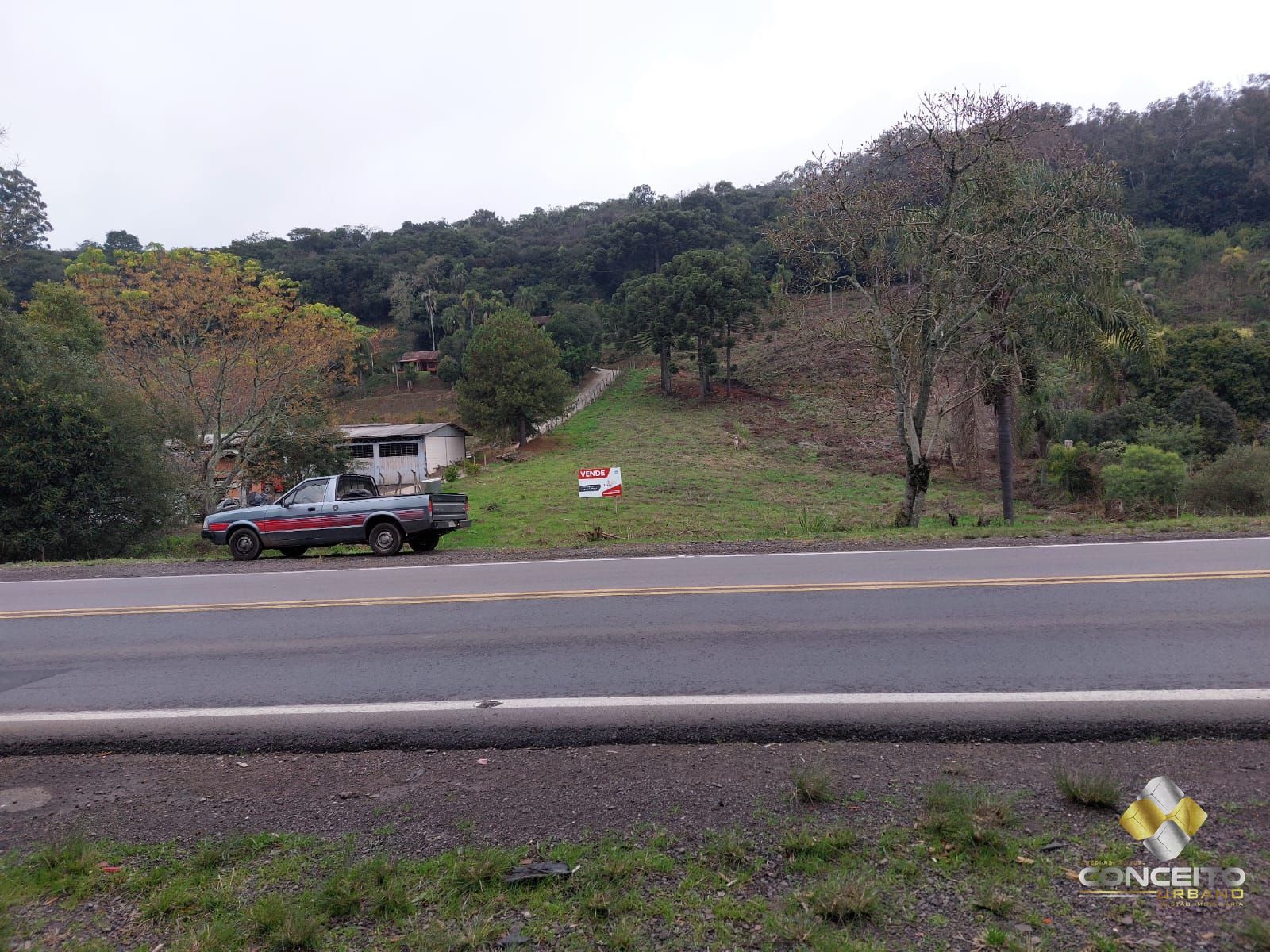 img331705856