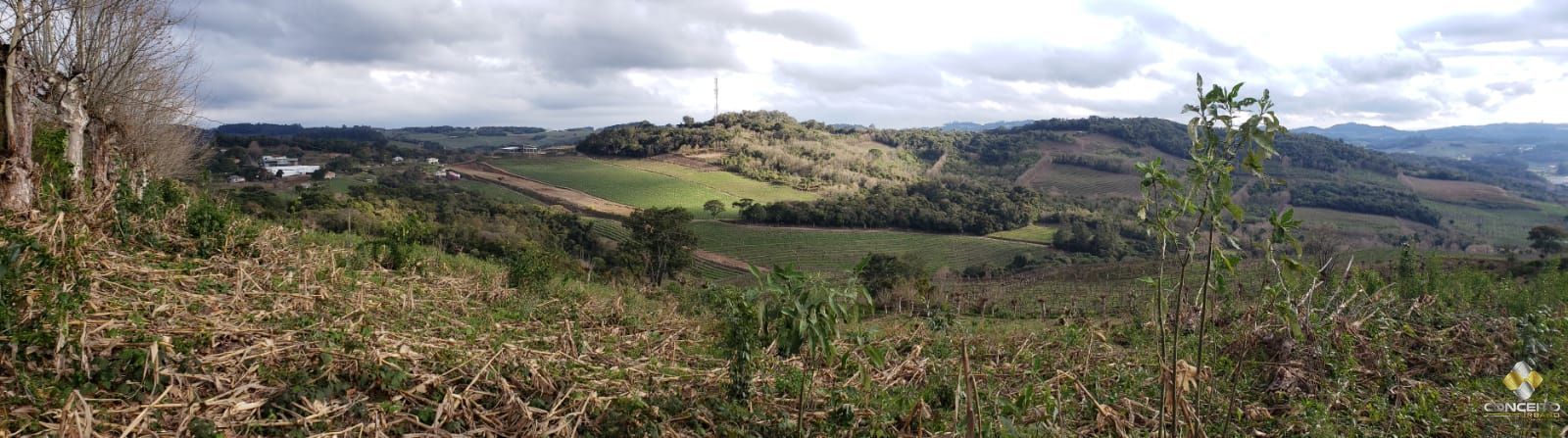 Terreno comercial  venda  no Vale dos Vinhedos - Bento Gonalves, RS. Imveis