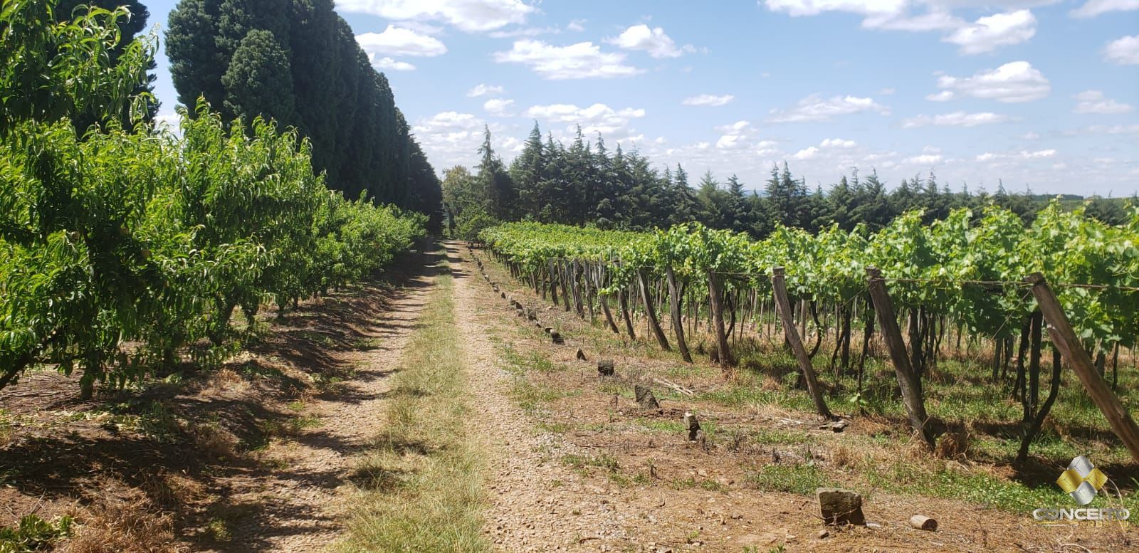 Terreno à venda, 70000m² - Foto 25