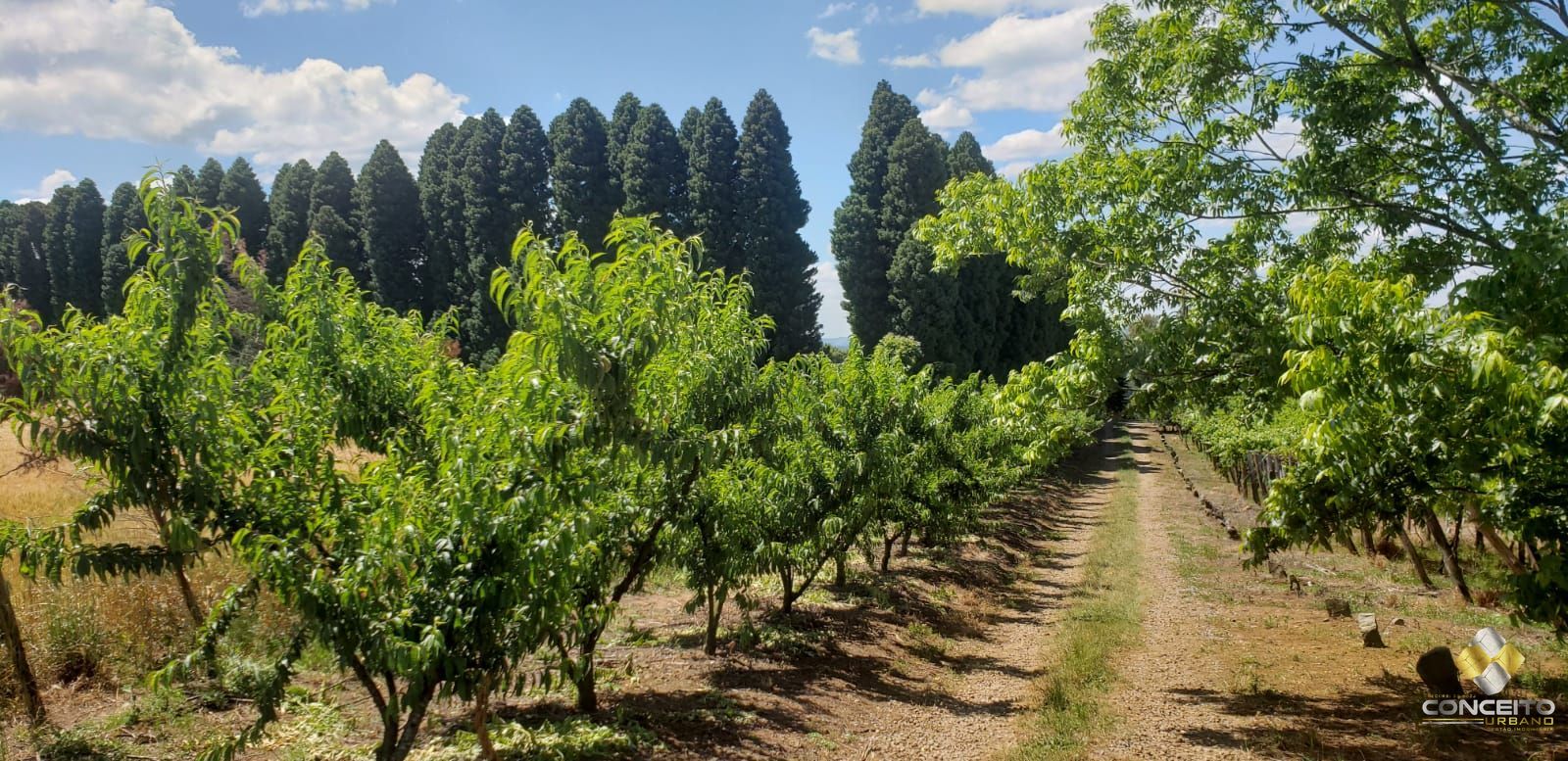 Terreno à venda, 70000m² - Foto 16