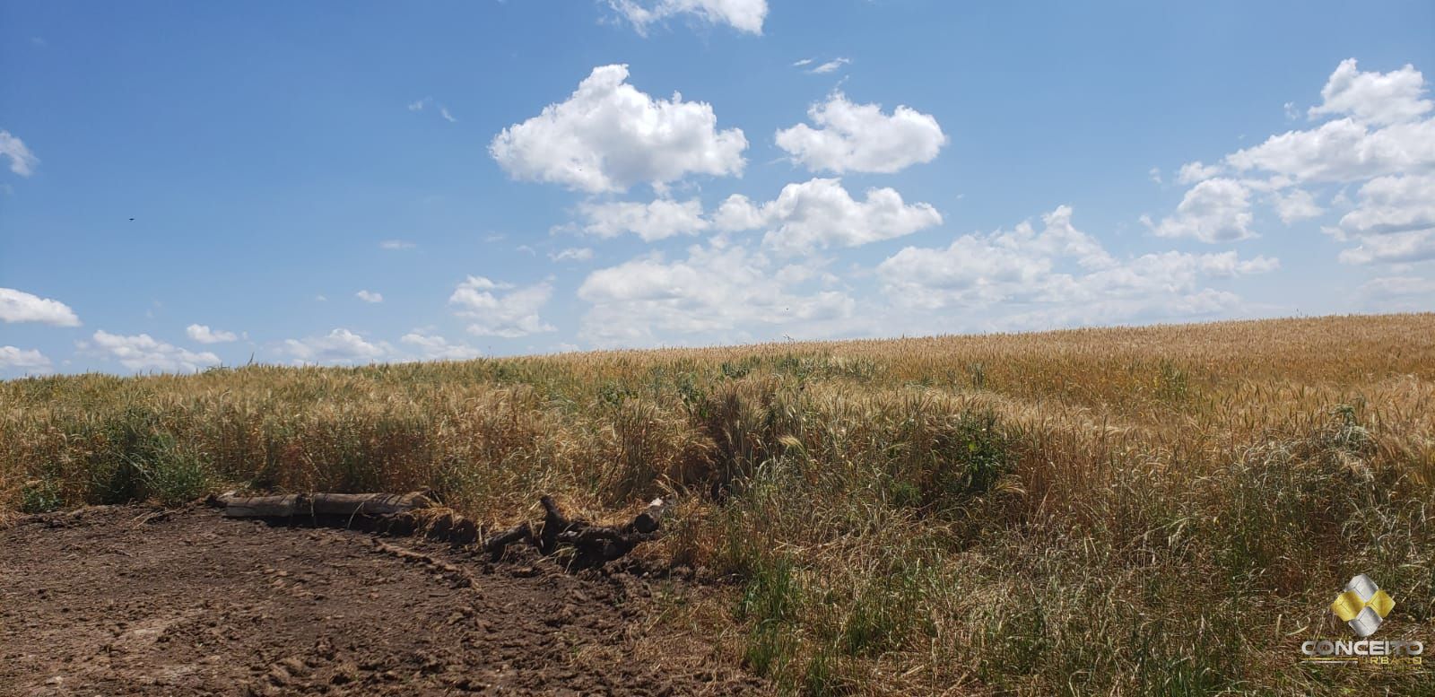 Terreno à venda, 70000m² - Foto 19