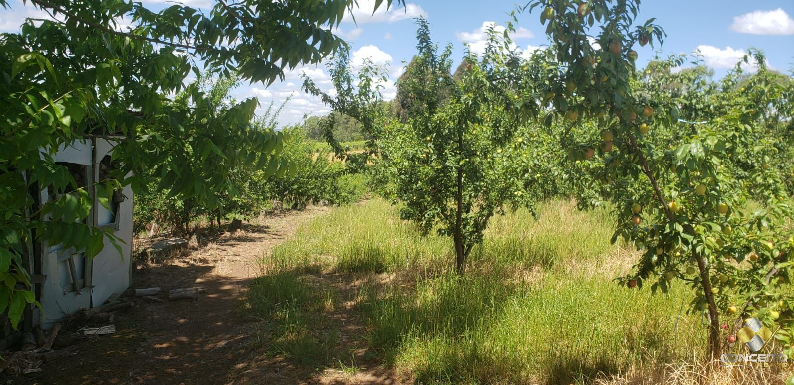 Terreno à venda, 70000m² - Foto 11