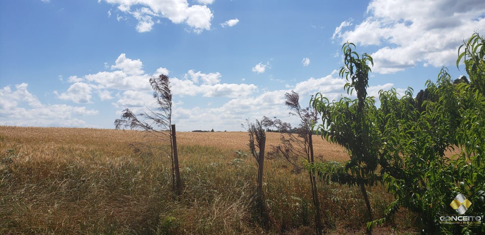 Terreno à venda, 70000m² - Foto 8