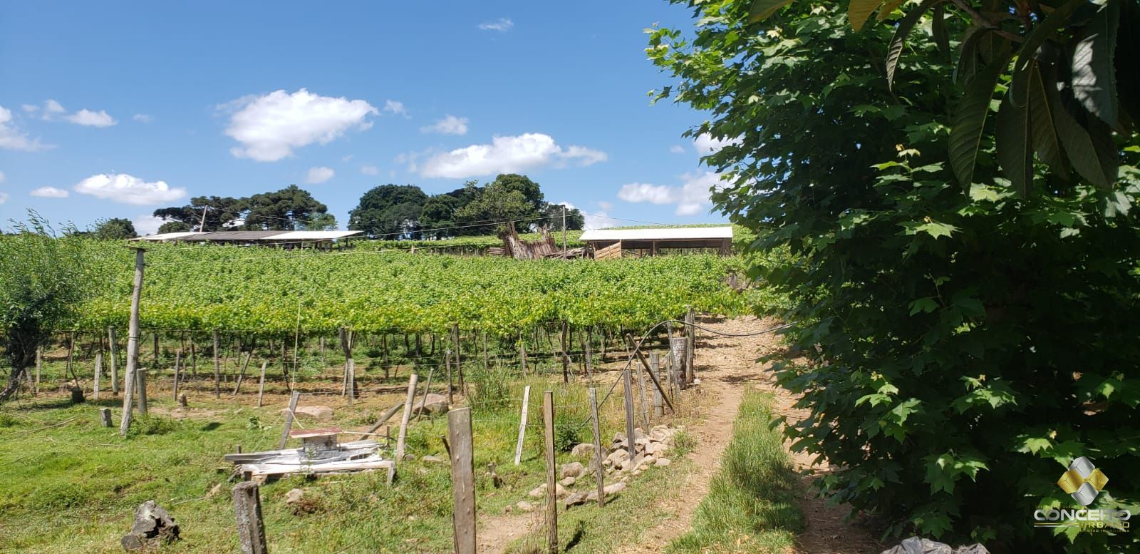 Terreno à venda, 70000m² - Foto 10