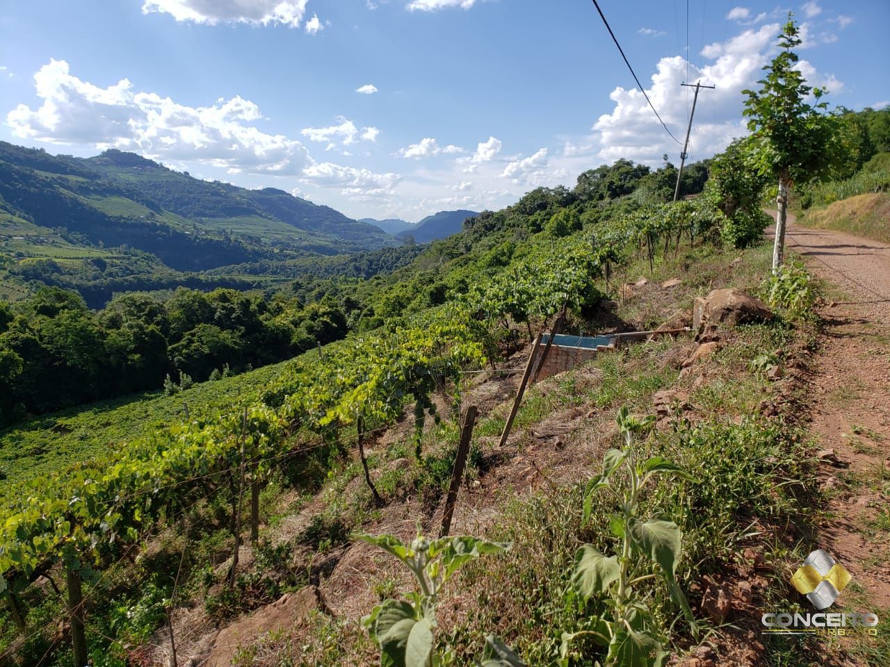 Terreno comercial  venda  no Faria Lemos - Bento Gonalves, RS. Imveis