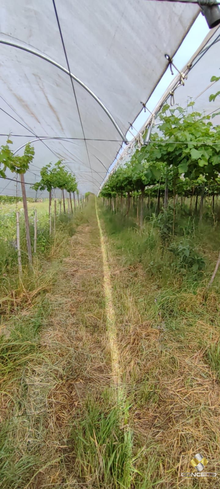 Loteamento e Condomínio, 11 hectares - Foto 19