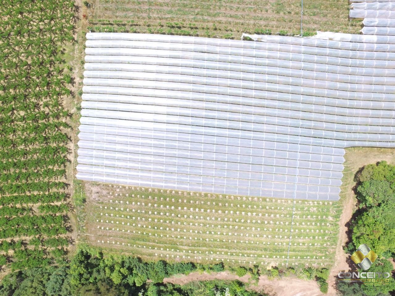 Loteamento e Condomínio, 11 hectares - Foto 37