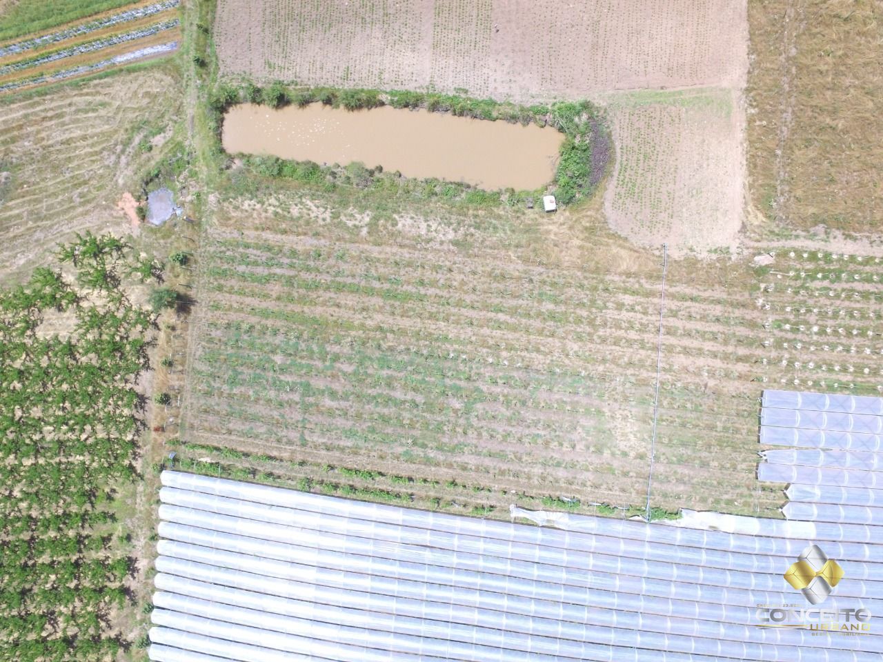 Loteamento e Condomínio, 11 hectares - Foto 38