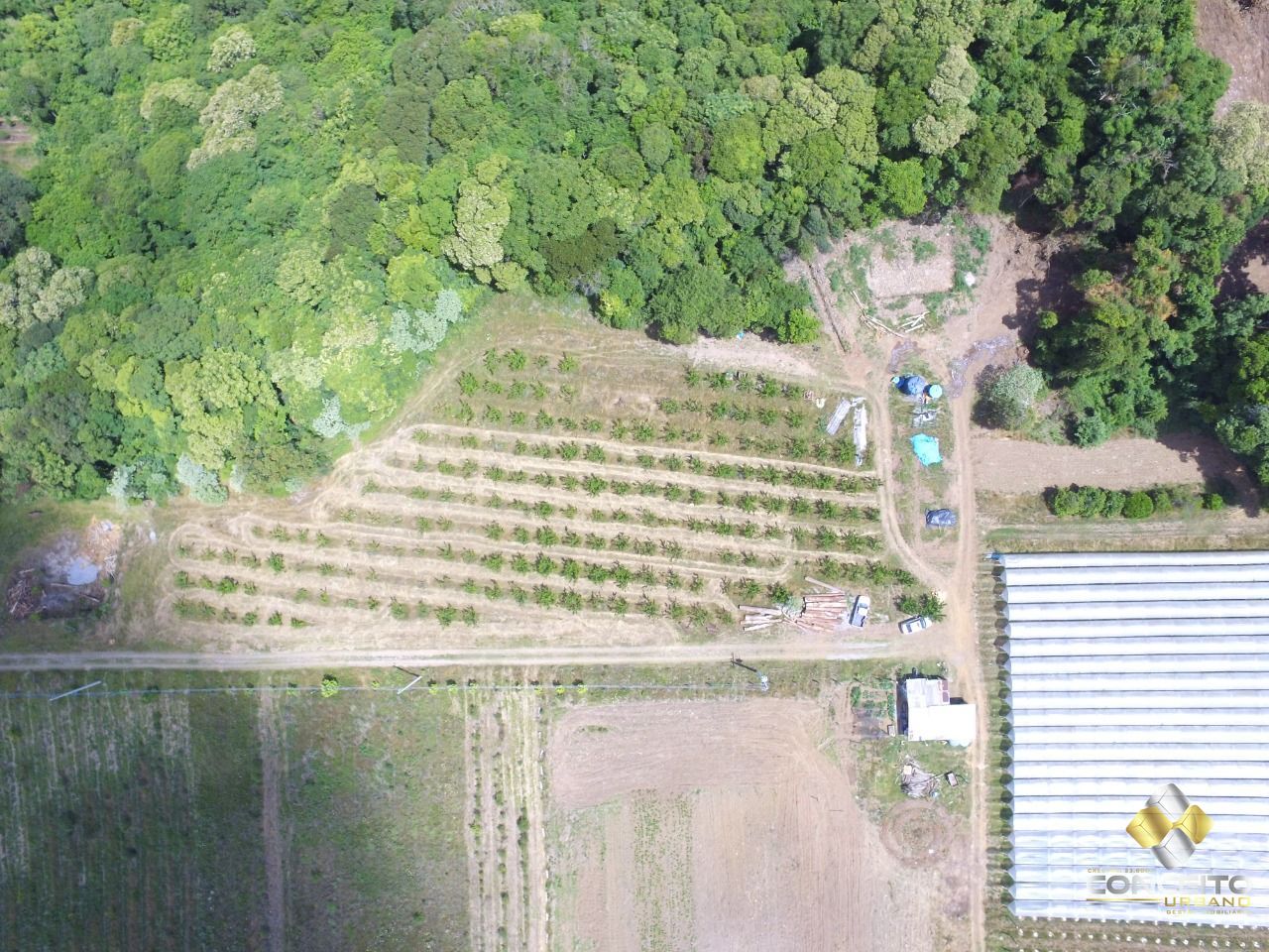 Loteamento e Condomínio, 11 hectares - Foto 46