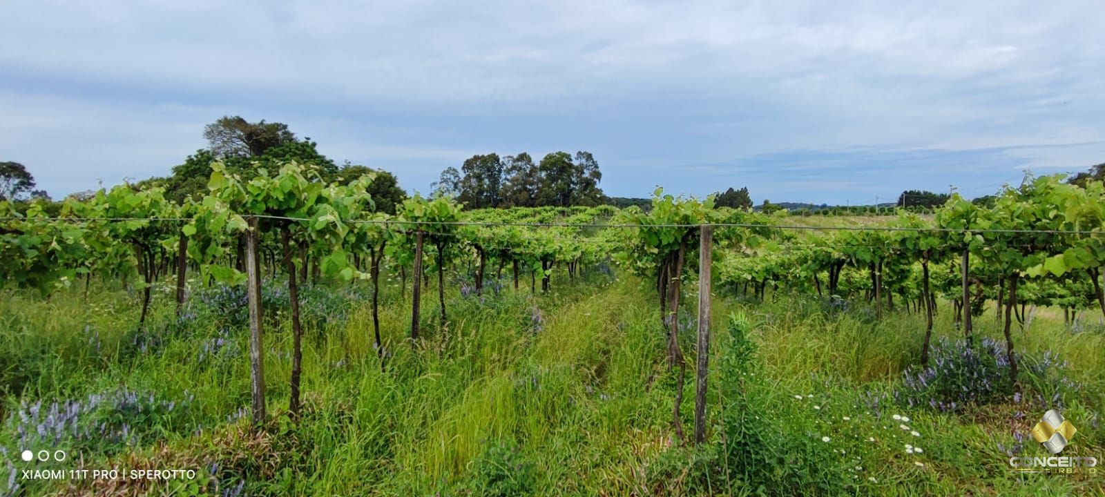Loteamento e Condomínio, 11 hectares - Foto 23