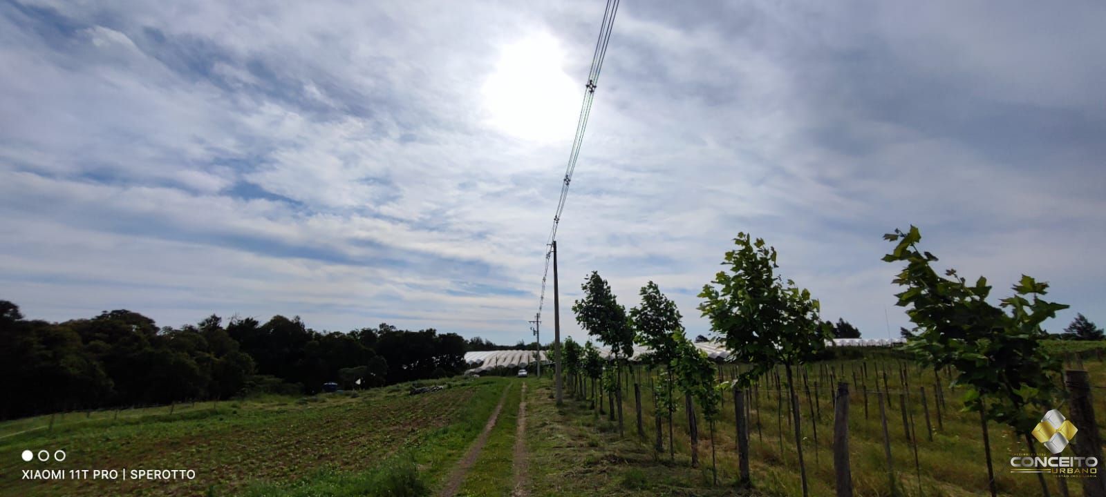 Loteamento e Condomínio, 11 hectares - Foto 15