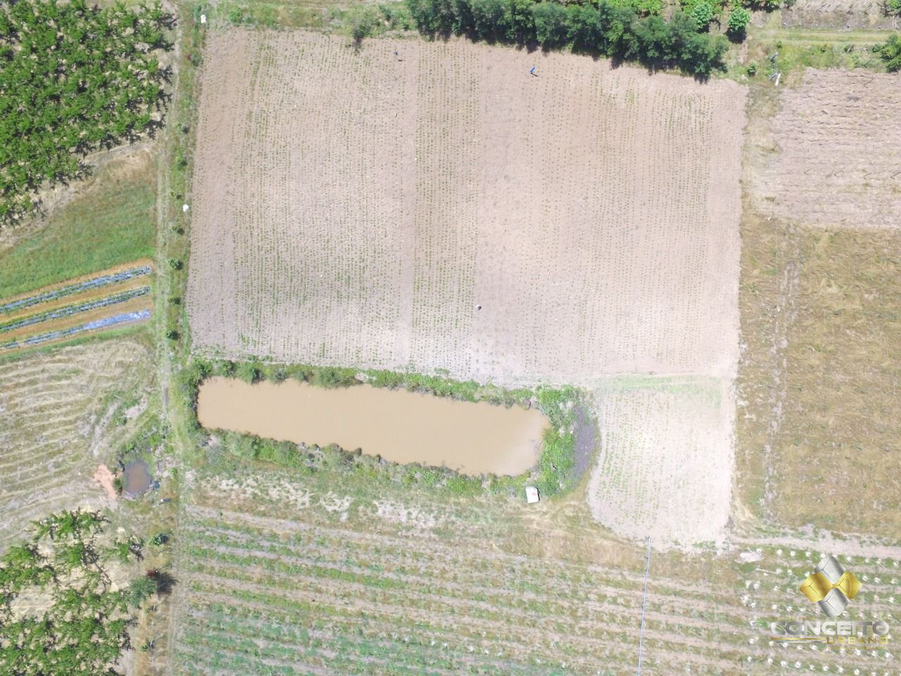 Loteamento e Condomínio, 11 hectares - Foto 39