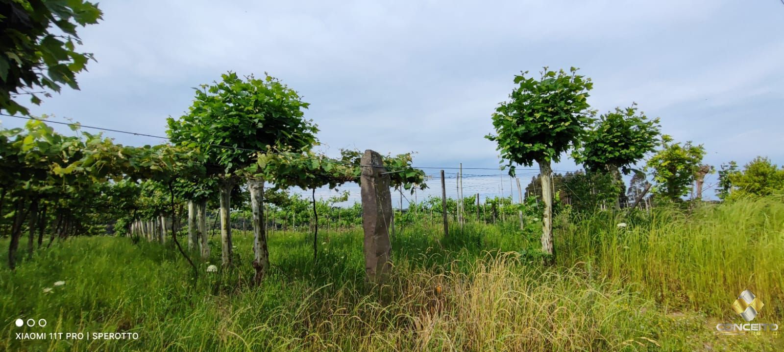 Loteamento e Condomínio, 11 hectares - Foto 5