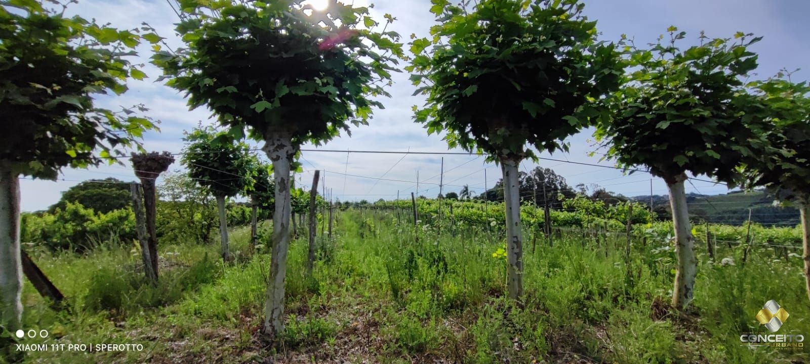 Loteamento e Condomínio, 11 hectares - Foto 4