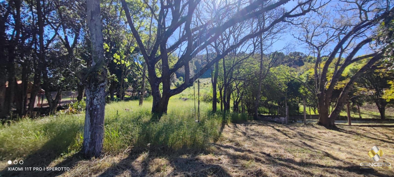 Terreno, 1 hectares - Foto 8