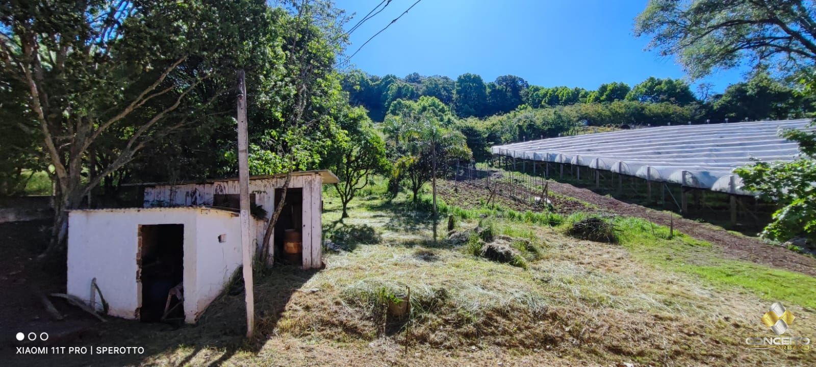 Terreno, 1 hectares - Foto 15
