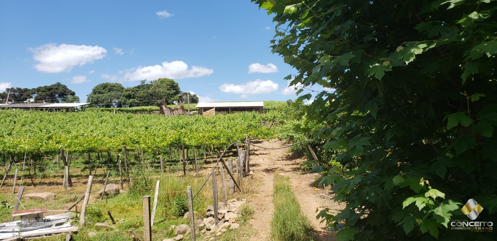 Terreno à venda, 70000m² - Foto 13