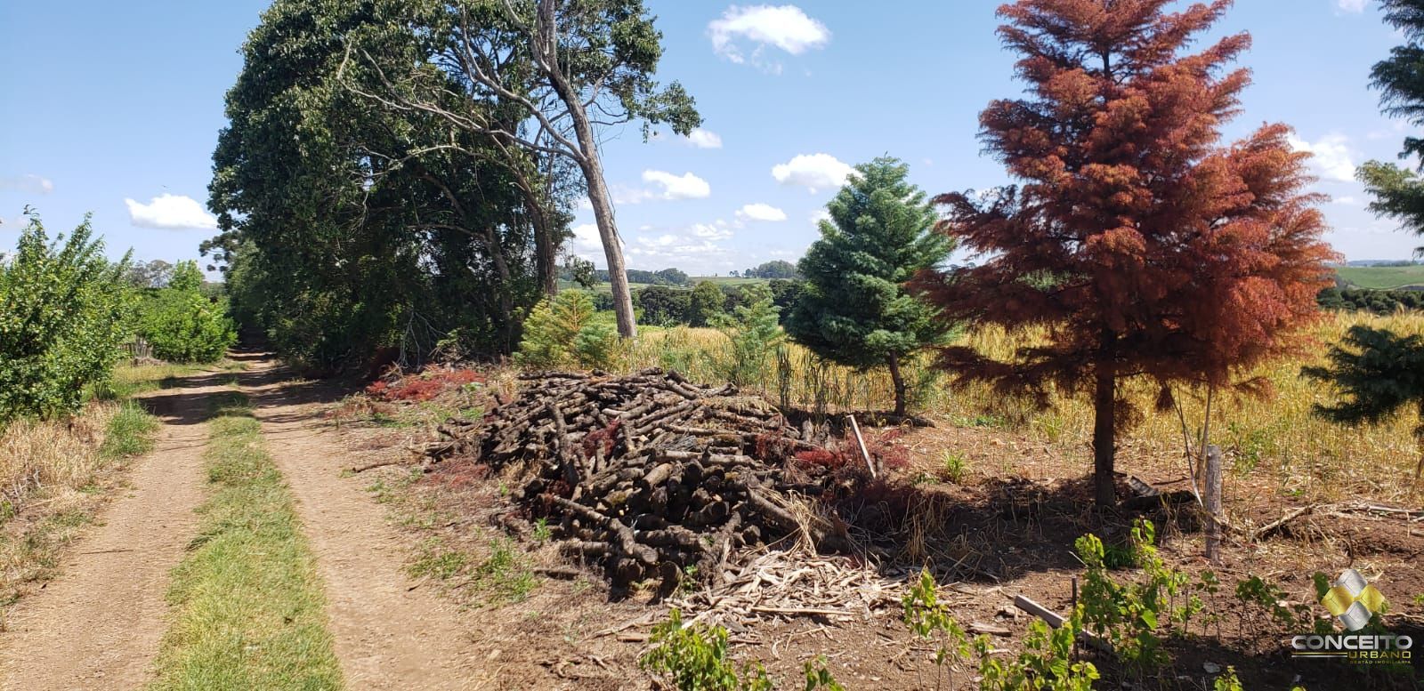 Terreno à venda, 70000m² - Foto 14