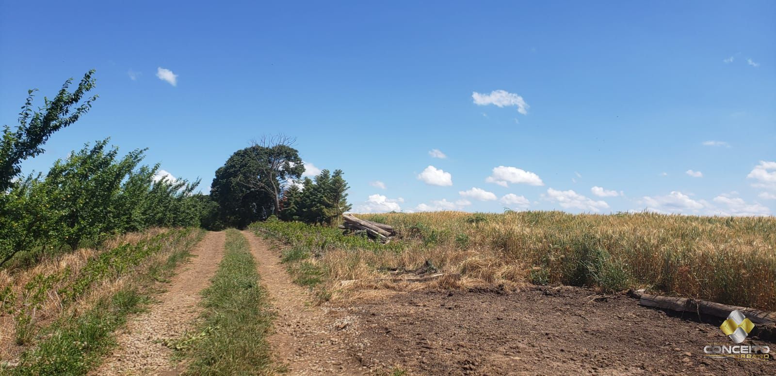 Terreno à venda, 70000m² - Foto 24