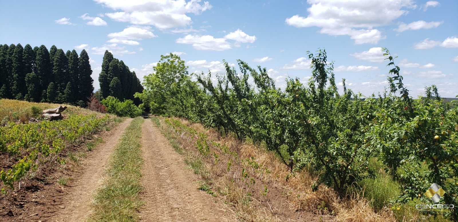 Terreno à venda, 70000m² - Foto 26