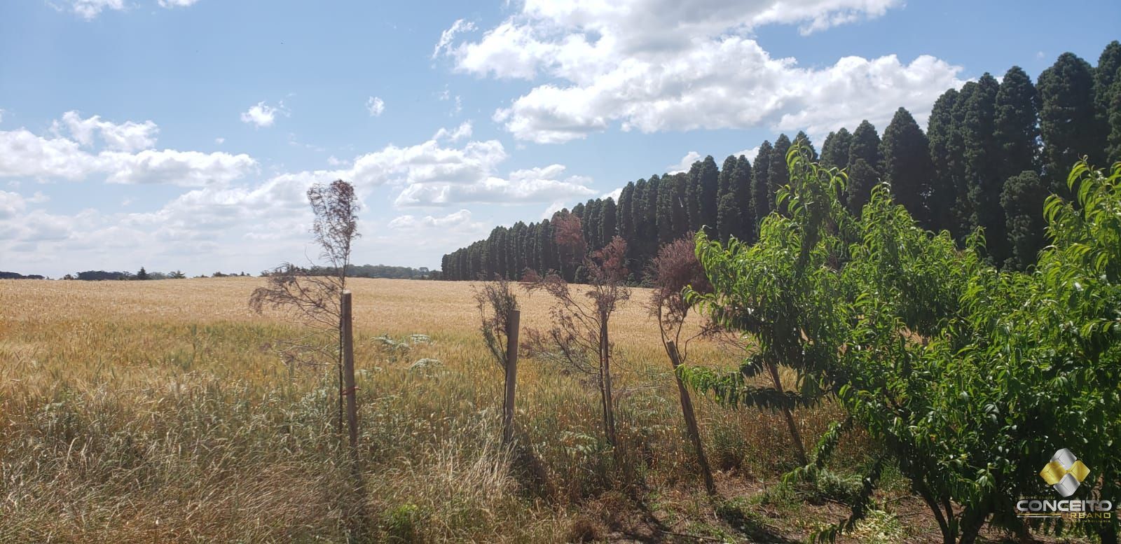 Terreno à venda, 70000m² - Foto 27