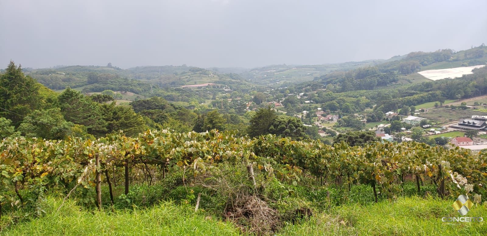 Terreno comercial para alugar  no Barraco - Bento Gonalves, RS. Imveis