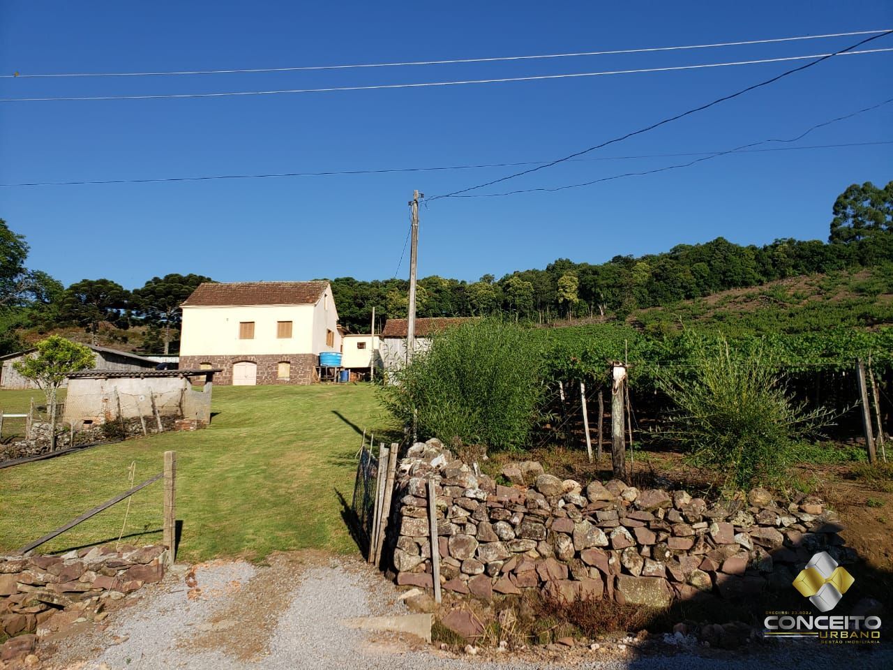 img9520386