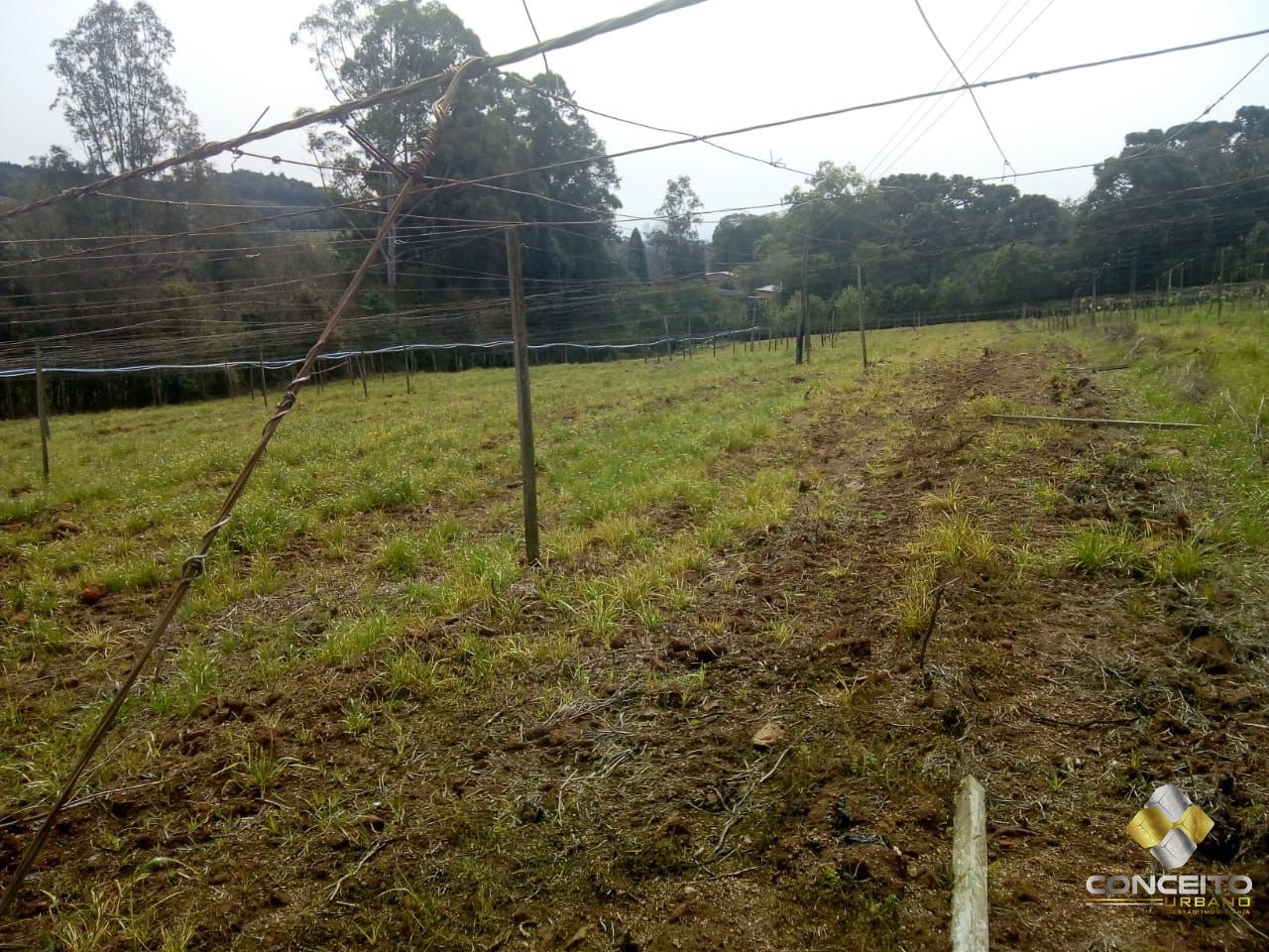 Terreno à venda, 78000m² - Foto 8