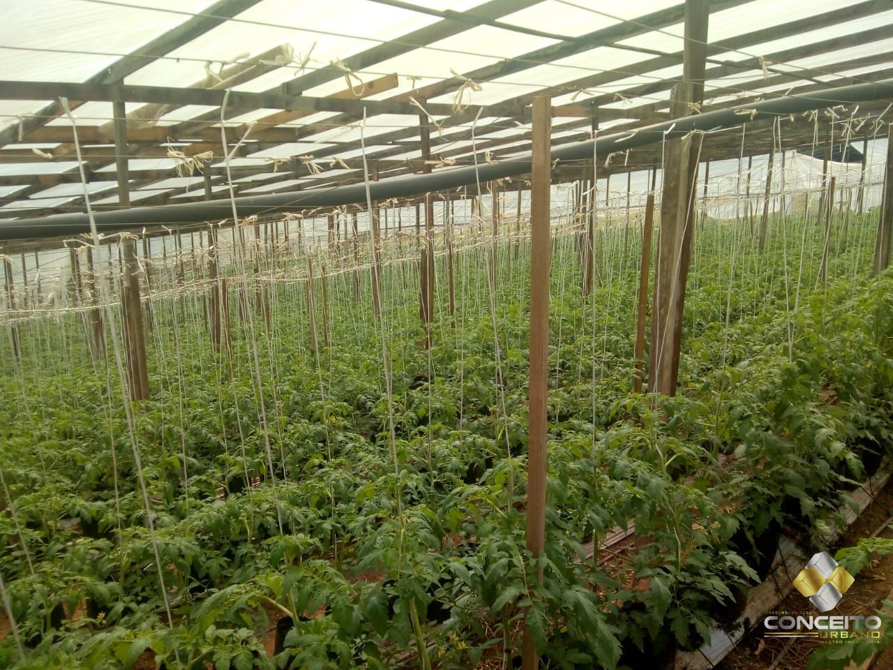 Terreno à venda, 78000m² - Foto 9