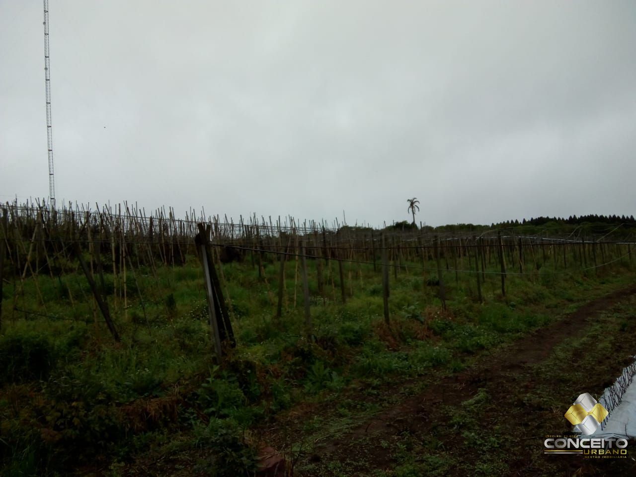 Terreno à venda, 78000m² - Foto 10