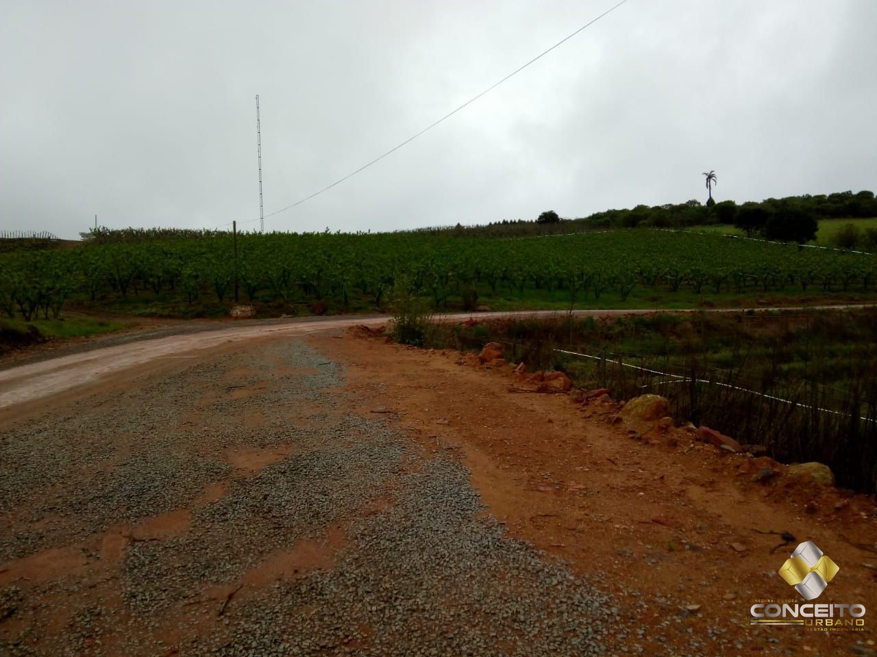 Terreno à venda, 78000m² - Foto 7