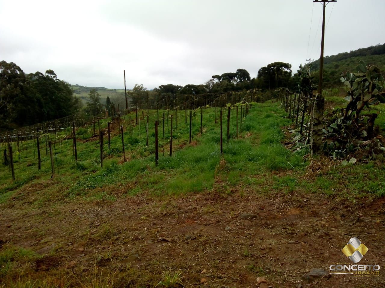 Loteamento e Condomínio à venda, 78000m² - Foto 15